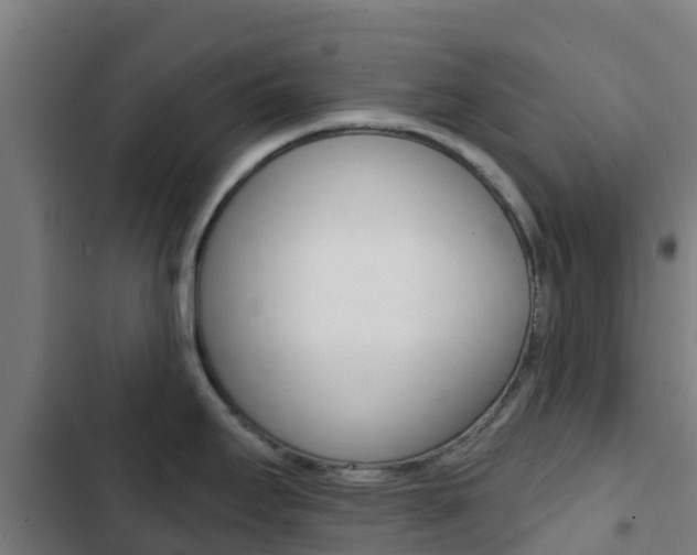 X0000103421295200809121004
