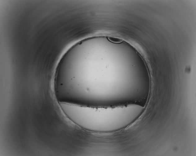X0000103421296200809121004