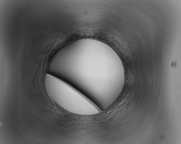 X0000103421297200809121003