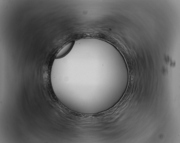 X0000103421298200809121003
