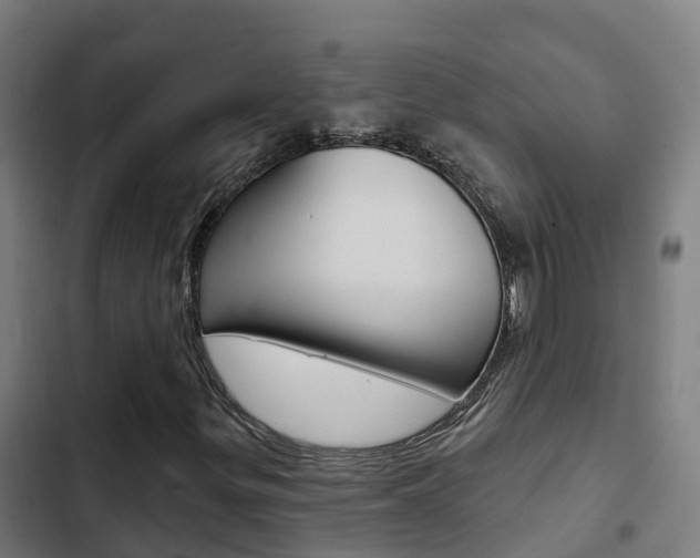 X0000103421299200809121003
