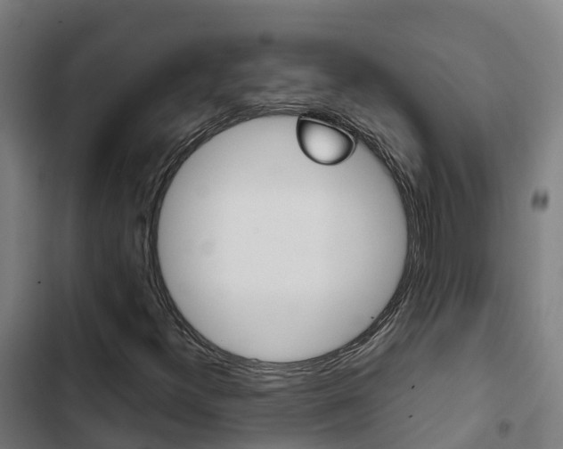 X0000103421300200809121003