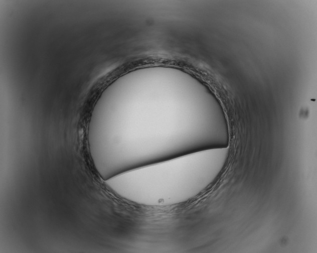 X0000103421302200809121003