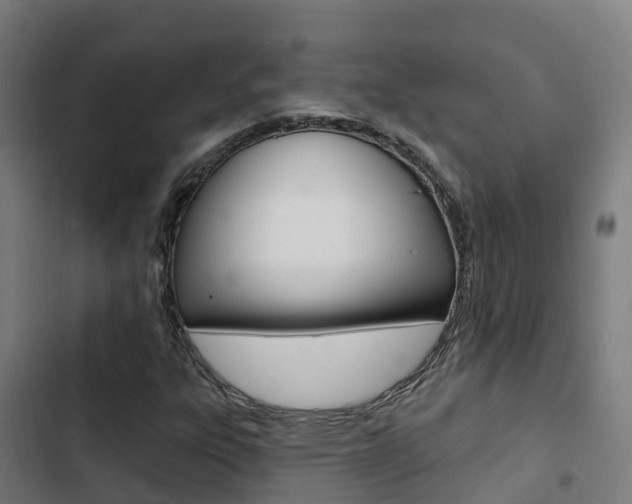 X0000103421303200809121003
