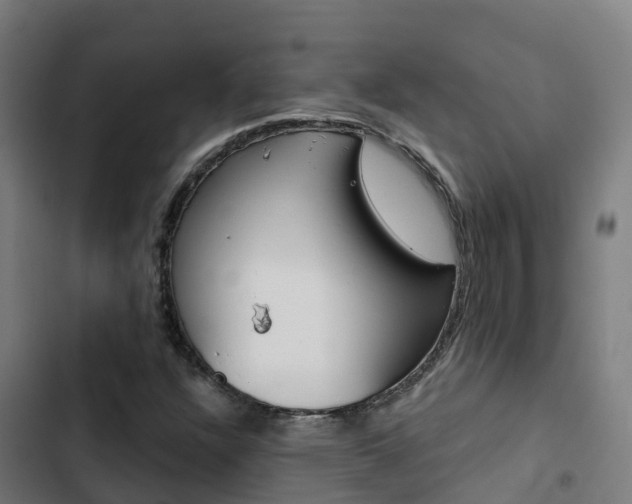 X0000103421304200809121003