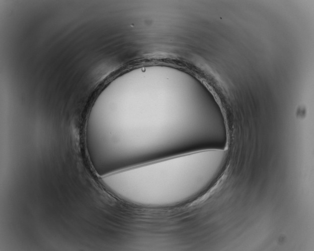 X0000103421305200809121003