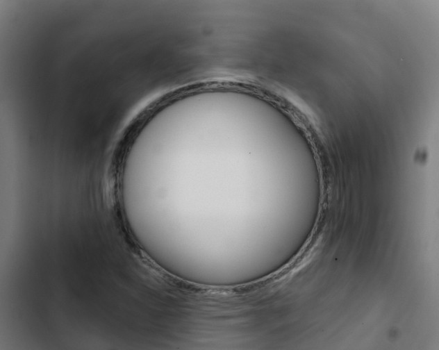 X0000103421310200809121003