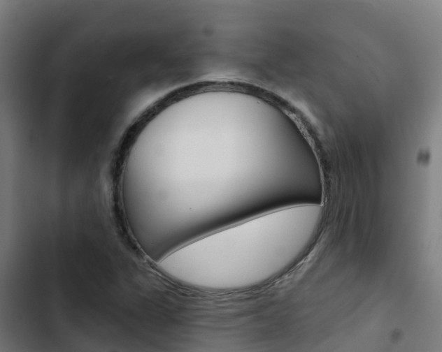 X0000103421311200809121003