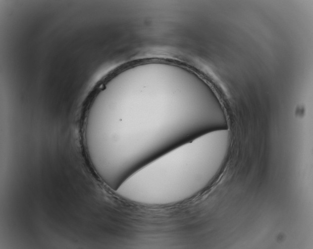 X0000103421312200809121003