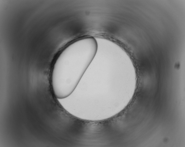 X0000103421314200809121003