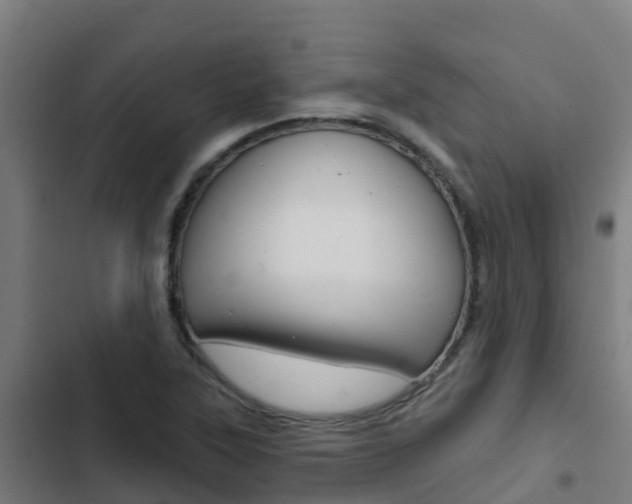 X0000103421315200809121003