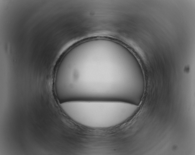 X0000103421316200809121003