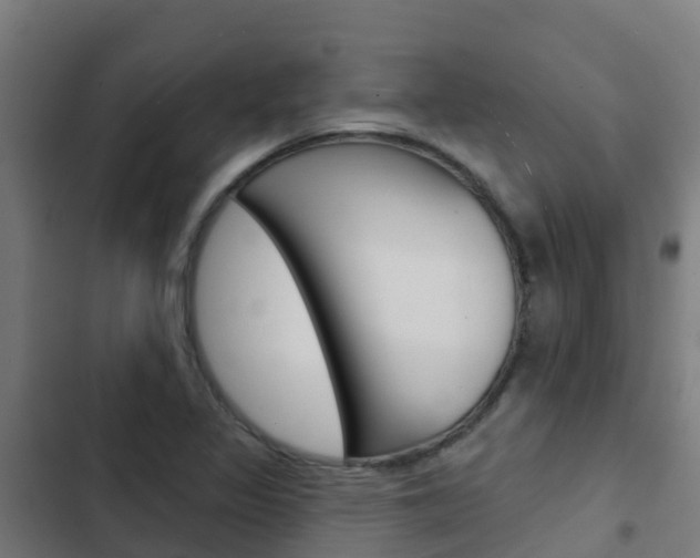 X0000103421317200809121003