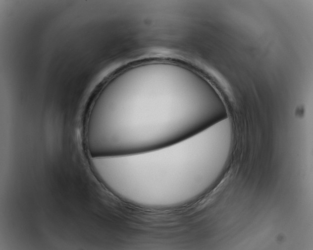 X0000103421318200809121003