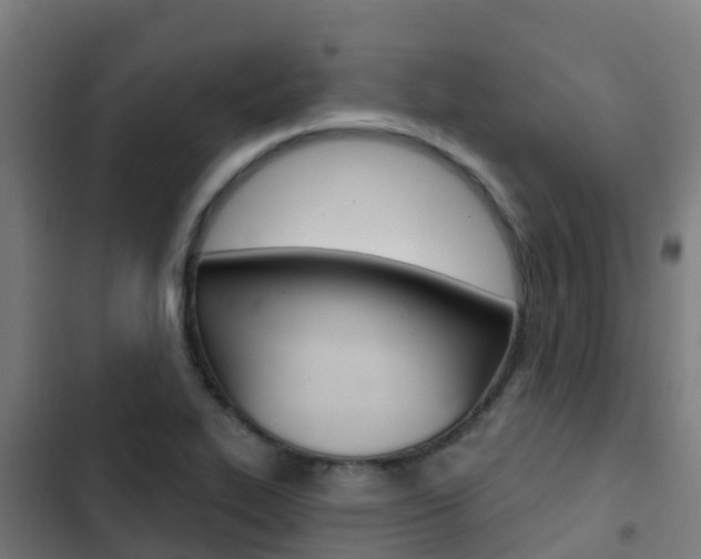 X0000103421319200809121003