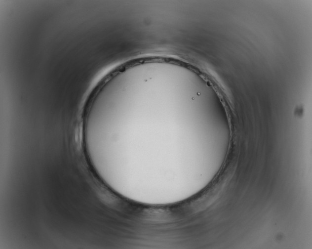 X0000103421320200809121003