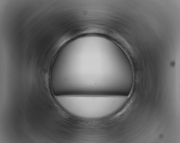 X0000103421321200809121003