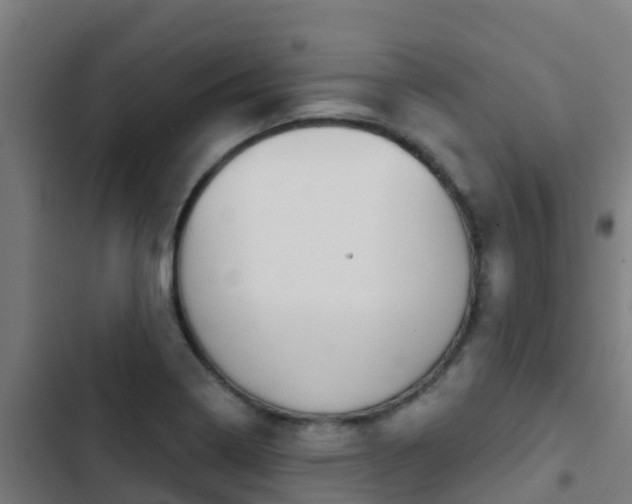 X0000103421322200809121003