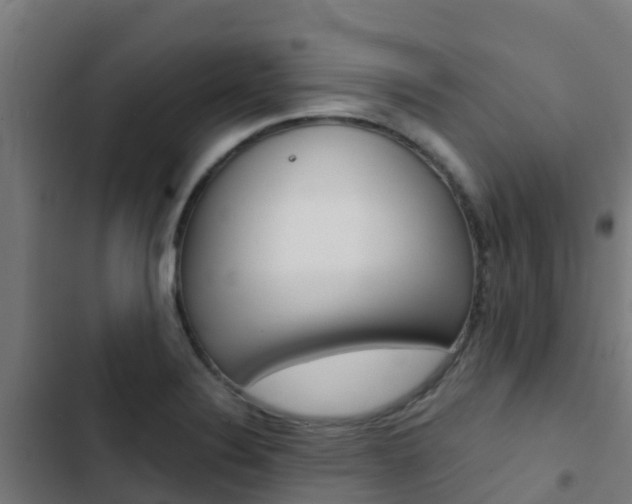 X0000103421324200809121003