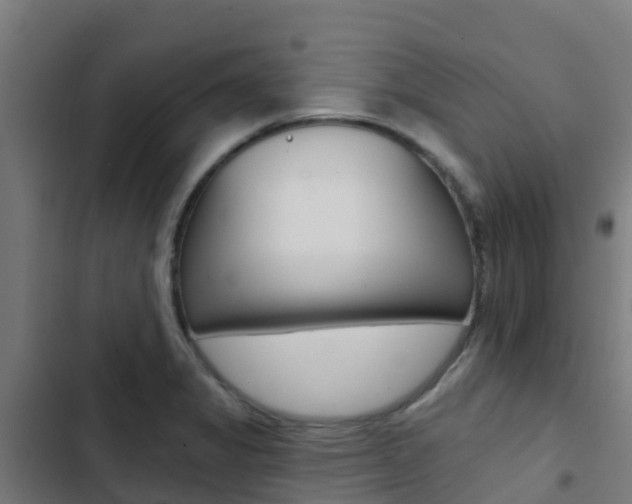X0000103421325200809121003