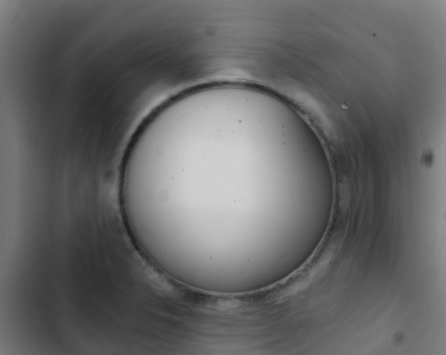 X0000103421326200809121003