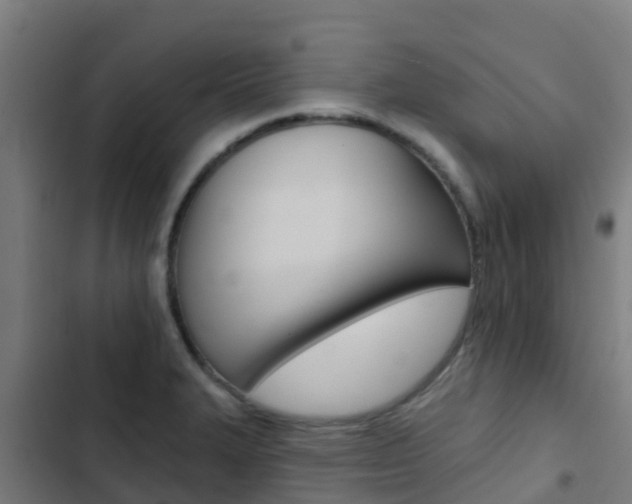 X0000103421327200809121003
