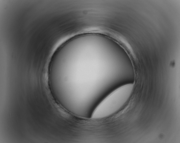 X0000103421328200809121003