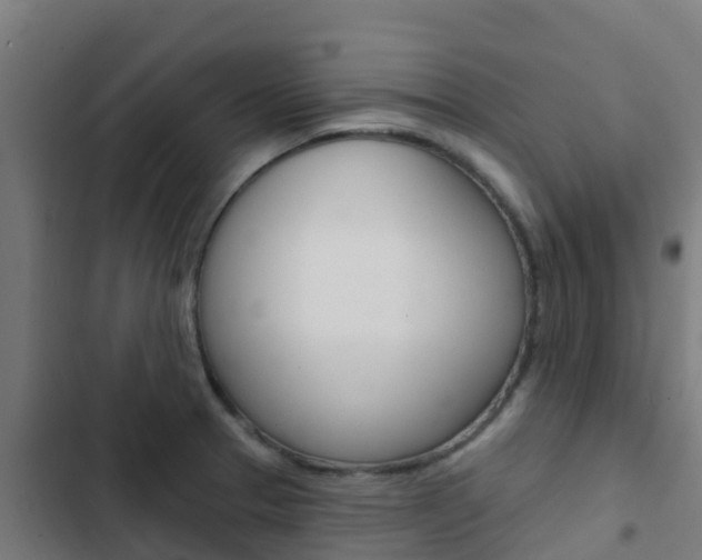 X0000103421329200809121003