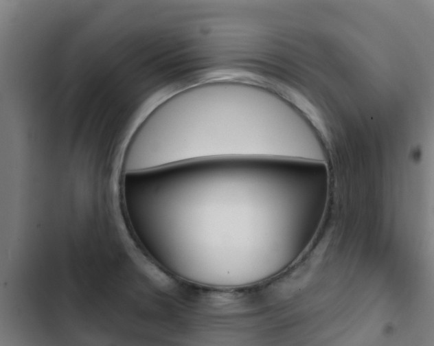X0000103421330200809121003