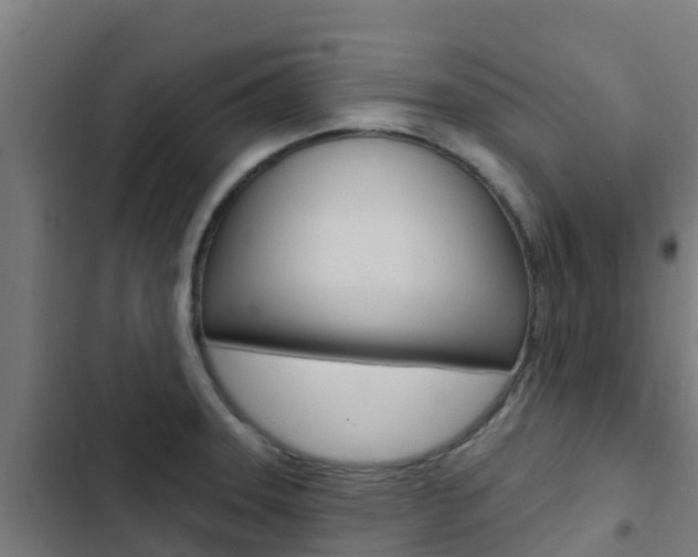 X0000103421331200809121003