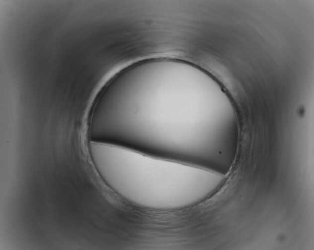 X0000103421332200809121003