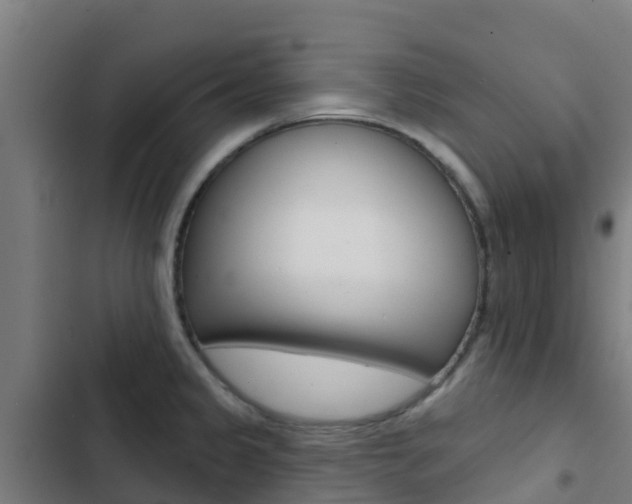 X0000103421333200809121003