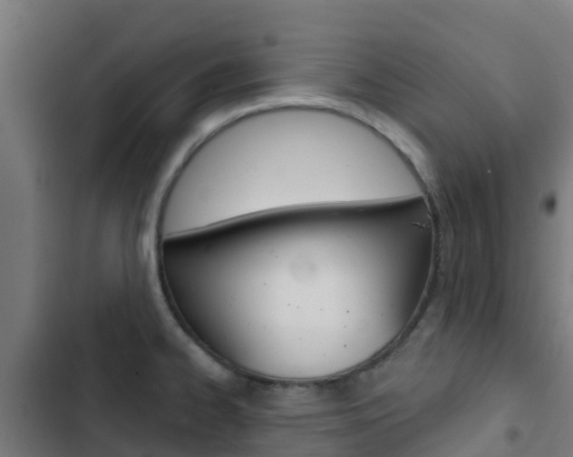 X0000103421334200809121003
