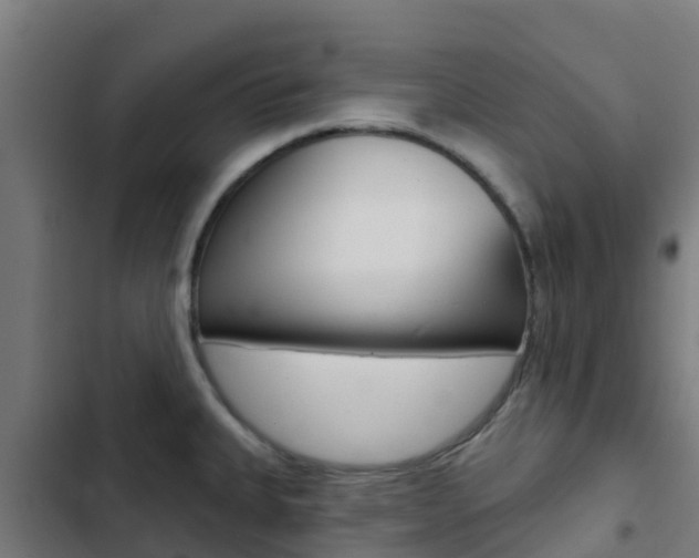 X0000103421335200809121003