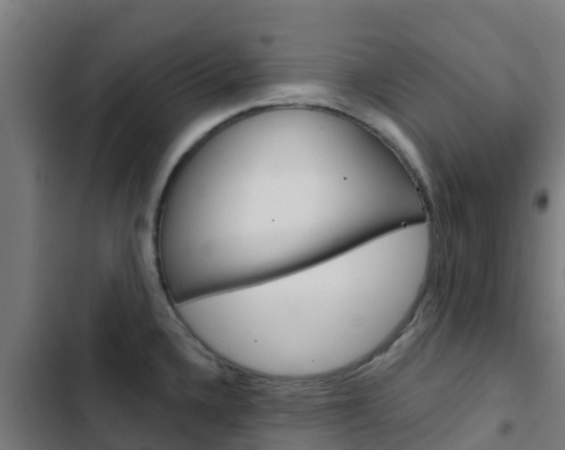 X0000103421336200809121003