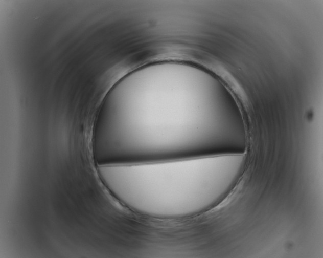 X0000103421337200809121003