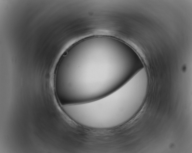 X0000103421342200809121004