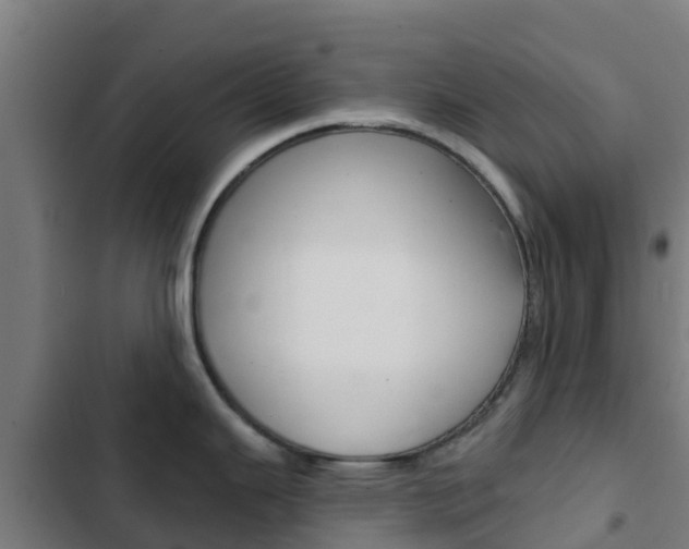 X0000103421343200809121004