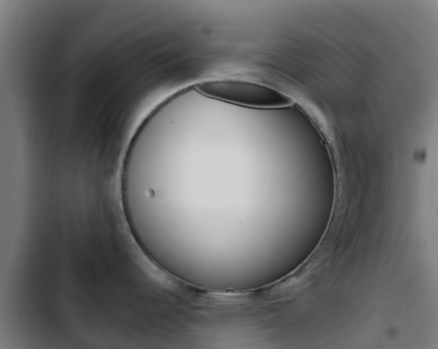 X0000103421344200809121004
