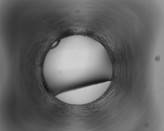 X0000103421345200809121003