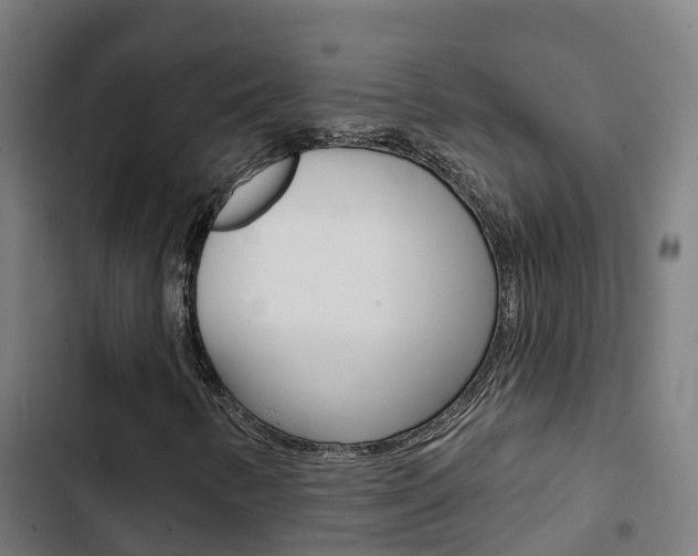 X0000103421346200809121003