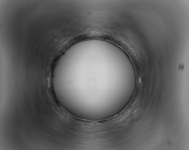 X0000103421348200809121003