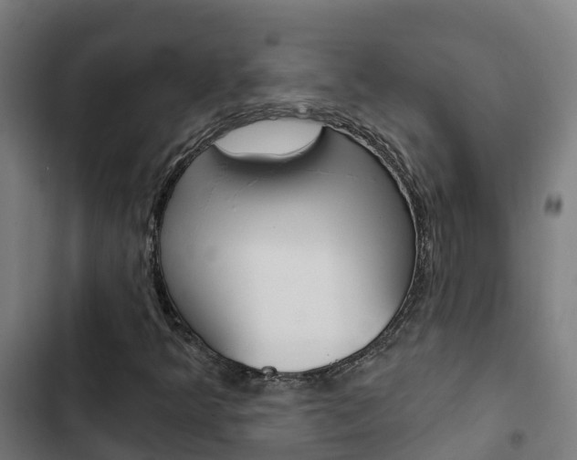 X0000103421349200809121003
