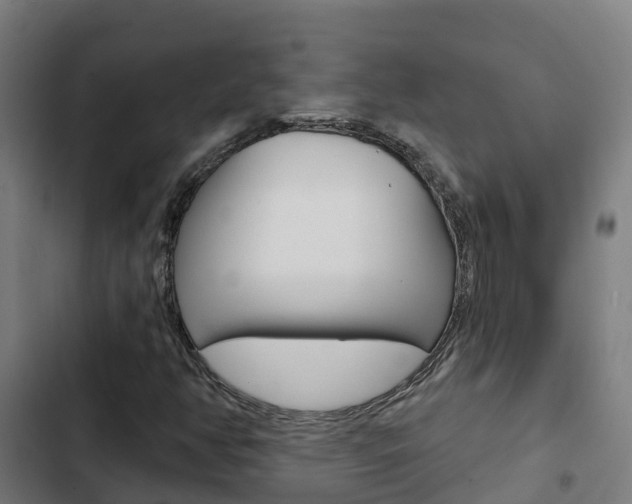 X0000103421350200809121003