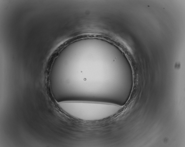 X0000103421352200809121003