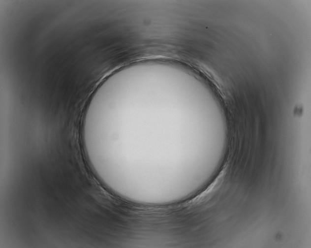 X0000103421353200809121002