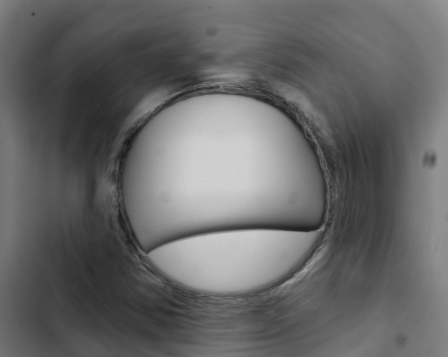 X0000103421354200809121002