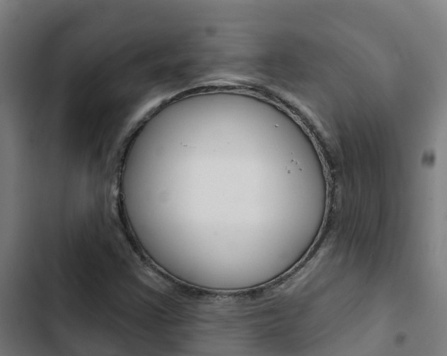 X0000103421355200809121002