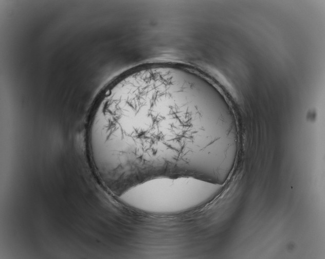X0000103421356200809121002