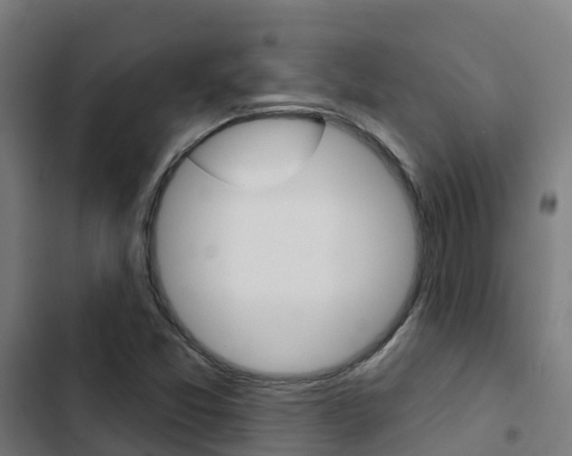 X0000103421357200809121002